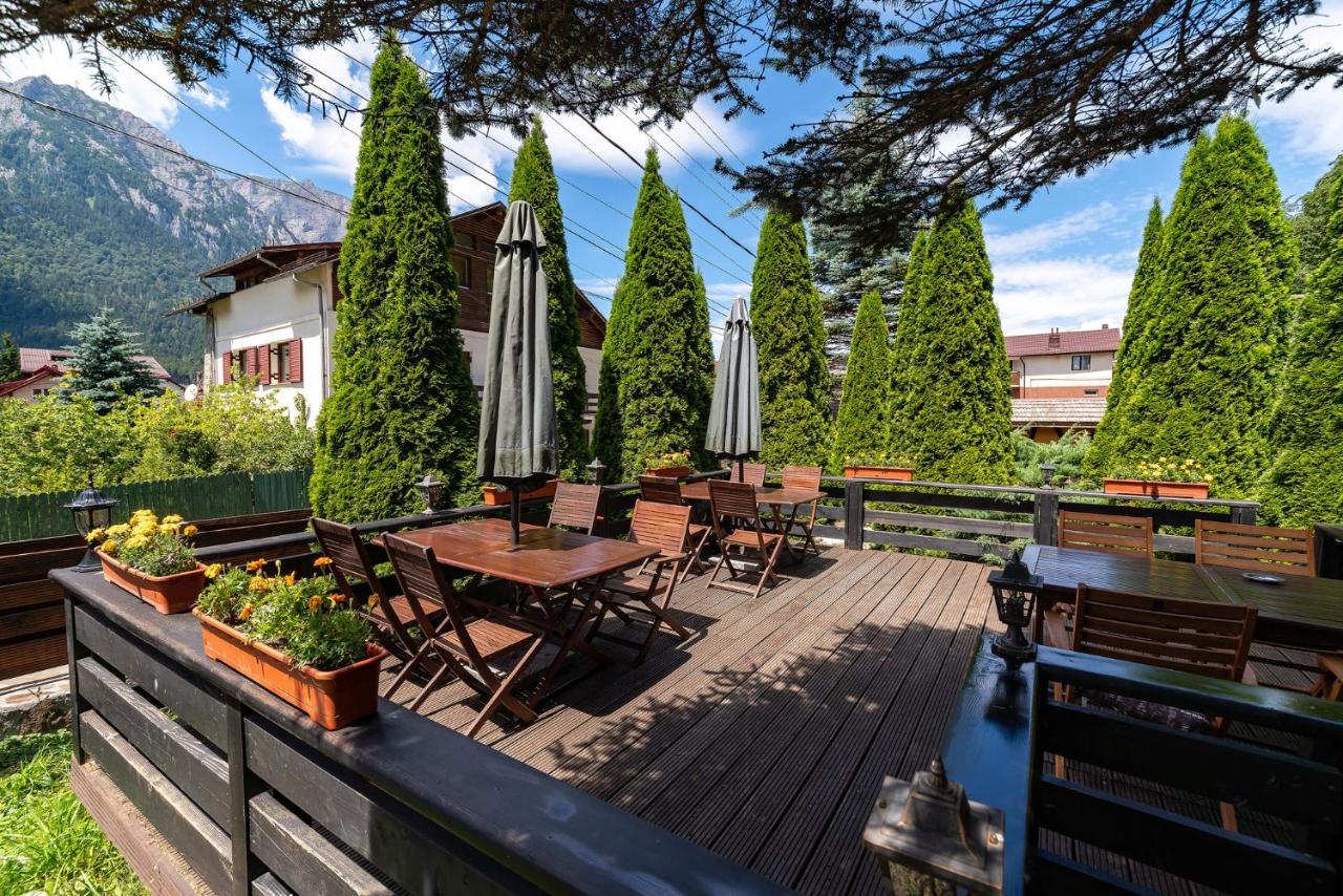 Casa Freya Hotel Buşteni Exterior foto